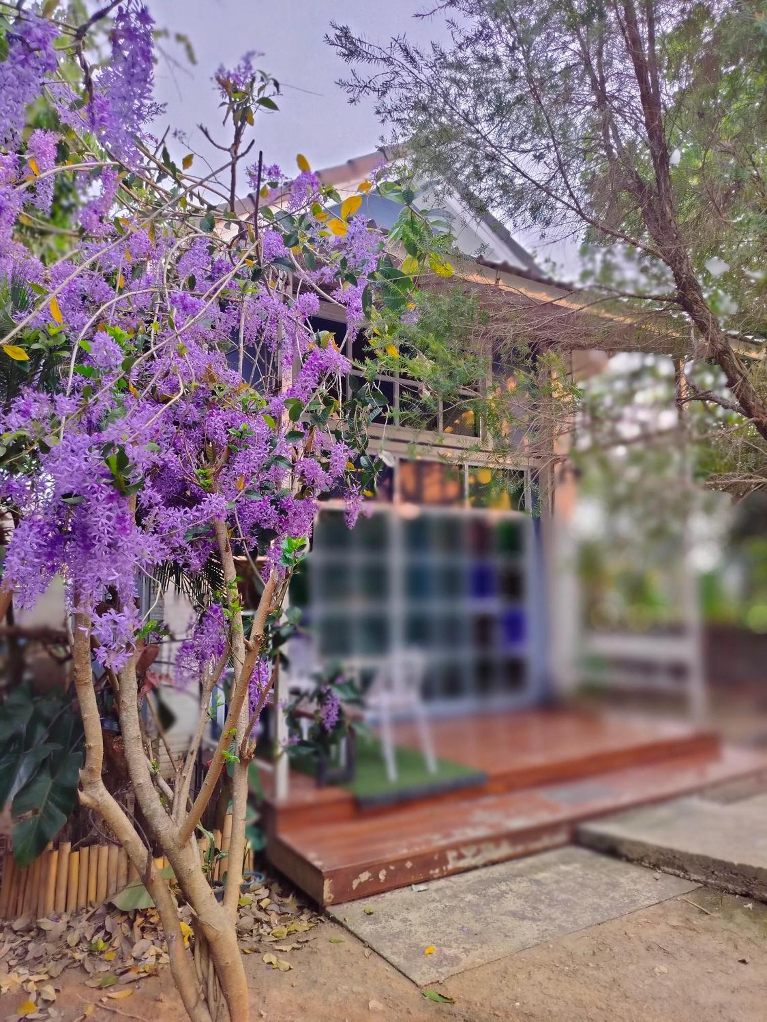 Na Na Doo Chiang Rai