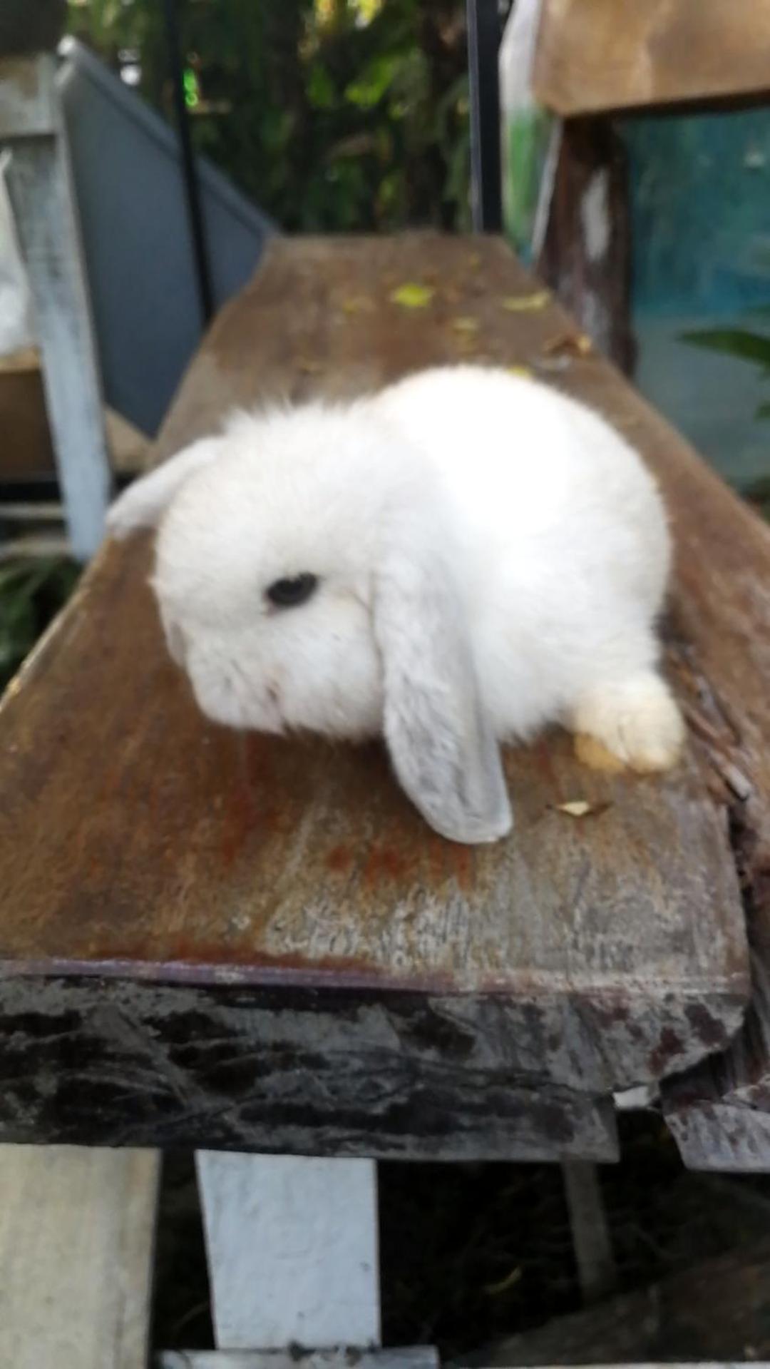 Na Na Doo Homestay Chiang Rai